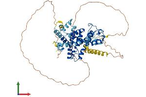 Protein Structure (PS) image for Nuclear Receptor Subfamily 1, Group H, Member 4 (NR1H4) (AA 1-488) protein (His tag) (ABIN7563868)
