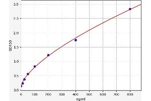Orosomucoid 2 (ORM2) ELISA Kit