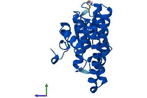 Protein Structure (PS) image for Glutathione Transferase zeta 1 (Maleylacetoacetate Isomerase) (GSTZ1) (AA 1-216) protein (His tag) (ABIN7549191)