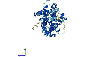Protein Structure (PS) image for Cyclin H (CCNH) (AA 1-323) protein (His tag) (ABIN7553018)