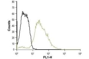 Cell surface detection of Serotonin receptor 3B in K562 intact living cells: (black line) Unstained cells (green line) Cells + Anti-5HT3B Receptor (HTR3B) (extracellular)-ATTO Fluor-488 Antibody, (ABIN7043623), (5-10 μg/0. (Serotonin Receptor 3B Antikörper  (Extracellular) (Atto 488))