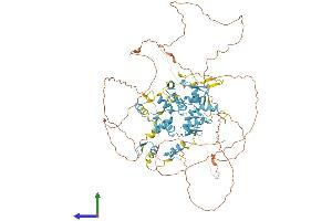 Protein Structure (PS) image for Zinc Finger Protein, X-Linked (ZFX) (AA 1-805) protein (His tag) (ABIN7545256)