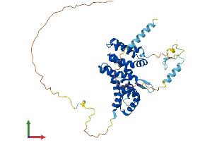 Protein Structure (PS) image for Poly(A) Binding Protein Interacting Protein 1 (PAIP1) (AA 1-400) protein (His tag) (ABIN7559888)