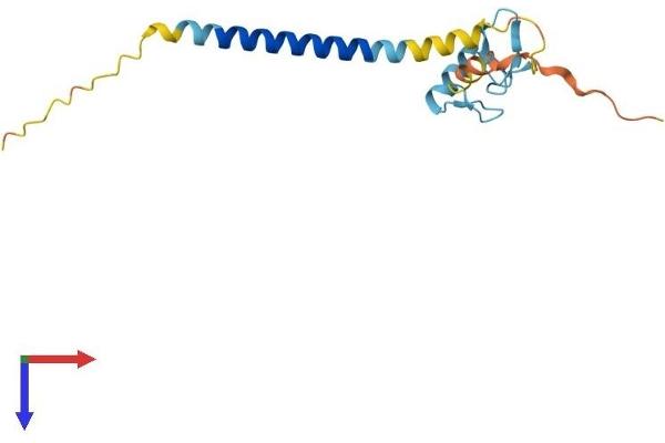 RNF24 Protein (AA 1-148) (His tag)