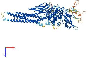 STAT4 Protein (AA 1-748) (His tag)