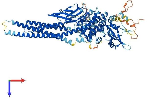 STAT4 Protein (AA 1-748) (His tag)