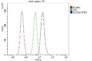 Flow Cytometry analysis of THP-1 cells using anti-S100A4 antibody (ABIN7600462). (s100a4 Antikörper  (AA 2-101))