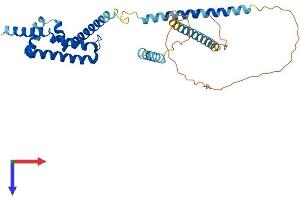 CCDC104 Protein (AA 1-342) (His tag)