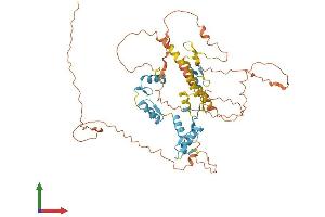 Protein Structure (PS) image for IKAROS Family Zinc Finger 1 (Ikaros) (IKZF1) (AA 1-519) protein (His tag) (ABIN7554142)