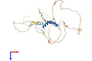 SSBP3 Protein (AA 1-388) (His tag)