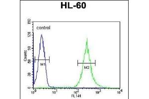 EN Antibody (Center) (ABIN651116 and ABIN2840082) flow cytometric analysis of HL-60 cells (right histogram) compared to a negative control cell (left histogram). (ENPP7 Antikörper  (AA 286-313))