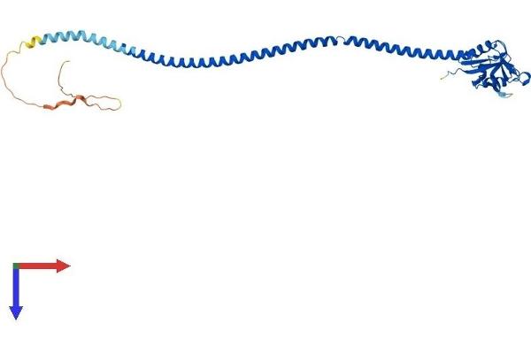 CD207 Protein (AA 1-331) (His tag)
