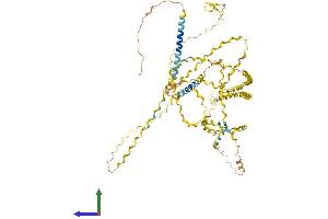 AlphaFold protein structure predicition of Mouse Recombinant Col25a1 Protein, UniprotID Q99MQ5