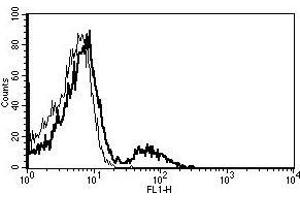 A typical staining pattern with the B-E5 monoclonal antibody of lymphocytes (CD21 Antikörper)