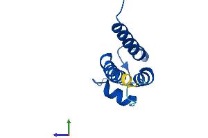 Protein Structure (PS) image for S100 Calcium Binding Protein A8 (S100A8) (AA 1-93) protein (His tag) (ABIN7555309)