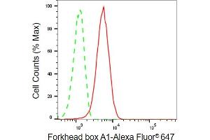 Flow cytometric analysis of forkhead box A1 expression in HepG2 cells using forkhead box A1 antibody (ABIN7798641), 1:2,000). (Rekombinanter FOXA1 Antikörper)