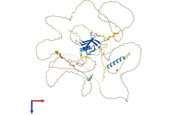 GAB2 Protein (AA 1-665) (His tag)