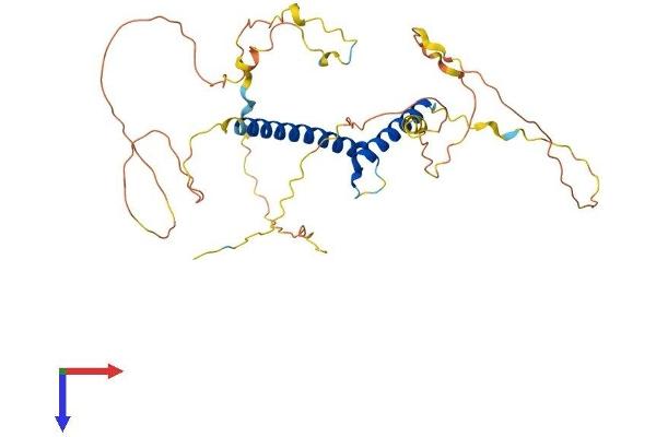 ATOH1 Protein (AA 1-354) (His tag)