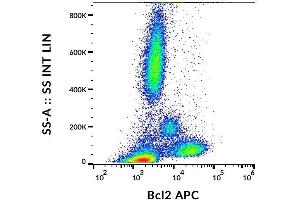 Flow cytometry intracellular staining pattern of human peripheral whole blood stained using anti-human BCL-2 (Bcl-2/100) APC antibody (10 μL reagent / 100 μL of peripheral whole blood). (Bcl-2 Antikörper  (AA 41-54) (APC))