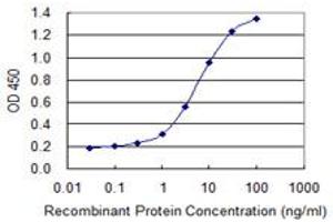 Detection limit for recombinant GST tagged FASN is 0. (Fatty Acid Synthase Antikörper  (AA 1-439))