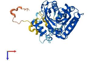 ABHD4 Protein (AA 1-342) (His tag)