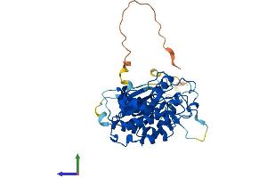 Protein Structure (PS) image for Cyclin-Dependent Kinase 9 (CDK9) (AA 1-372) protein (His tag) (ABIN7564878)