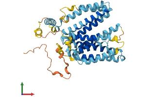 AlphaFold protein structure predicition of Mouse Recombinant Slc22a17 Protein, UniprotID Q9D9E0 (SLC22A17 Protein (AA 1-401) (His tag))