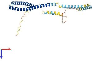 CHMP4C Protein (AA 1-232) (His tag)