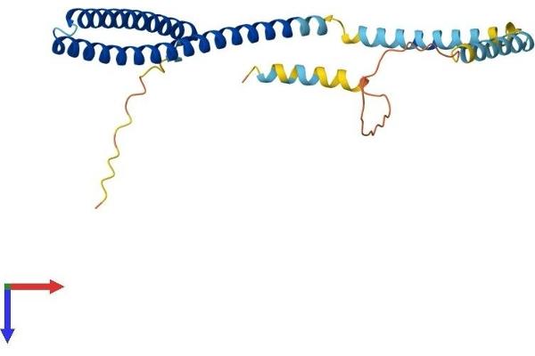 CHMP4C Protein (AA 1-232) (His tag)