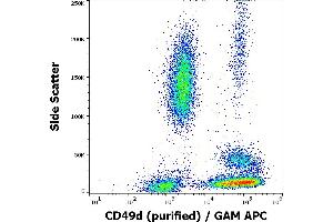Flow cytometry surface staining pattern of human peripheral whole blood stained using anti-human CD49d (9F10) purified antibody (concentration in sample 1 μg/mL) GAM APC. (ITGA4 Antikörper)