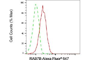 Flow cytometric analysis of RAB7B expression in HepG2 cells using RAB7B antibody (ABIN7800104), 1:2,000).