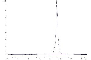 Size-exclusion chromatography-High Pressure Liquid Chromatography (SEC-HPLC) image for Layilin (LAYN) (AA 22-235) protein (His tag) (ABIN7275132)