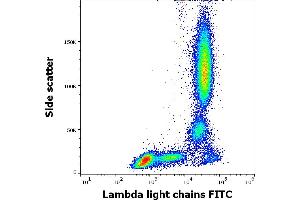 Flow cytometry surface staining pattern of human peripheral whole blood stained using anti-human Lambda Light Chain (1-155-2) FITC antibody (4 μL reagent / 100 μL of peripheral whole blood). (Lambda-IgLC Antikörper  (FITC))