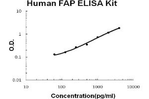 Human Seprase/FAP Accusignal ELISA Kit Human Seprase/FAP AccuSignal ELISA Kit standard curve. (Prolyl Endopeptidase FAP ELISA Kit)