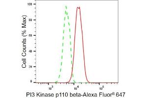 Flow cytometric analysis of PI3 Kinase p110 beta expression in HT- cells using PI3 Kinase p110 beta antibody (ABIN7799817), 1:2,000). (Rekombinanter PIK3CB Antikörper)