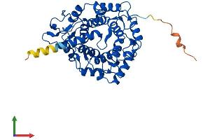 Protein Structure (PS) image for Protein Geranylgeranyltransferase Type I, beta Subunit (PGGT1B) (AA 1-377) protein (His tag) (ABIN7550749)