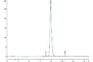 Size-exclusion chromatography-High Pressure Liquid Chromatography (SEC-HPLC) image for Epidermal Growth Factor Receptor (EGFR) (AA 25-647) protein (His tag) (ABIN7274529)