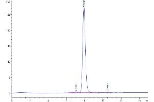 The purity of Mouse EGFR is greater than 95 % as determined by SEC-HPLC. (EGFR Protein (AA 25-647) (His tag))