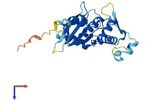 APOBEC1 Protein (AA 1-229) (His tag)