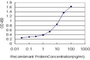 Detection limit for recombinant GST tagged FOXF2 is approximately 0. (FOXF2 Antikörper  (AA 346-443))