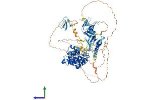Protein Structure (PS) image for rho GTPase Activating Protein 9 (ARHGAP9) (AA 1-750) protein (His tag) (ABIN7555226)