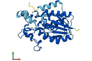 Protein Structure (PS) image for phosphoglycerate Mutase 2 (Muscle) (PGAM2) (AA 1-253) protein (His tag) (ABIN7550657)