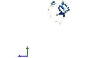 Protein Structure (PS) image for TNFAIP3 Interacting Protein 2 (TNIP2) (AA 1-429) protein (His tag) (ABIN7555771)