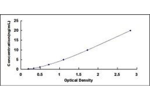 PDK4 ELISA Kit