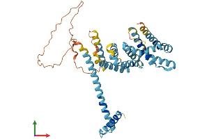AlphaFold protein structure predicition of Human Recombinant MEI4 Protein, UniprotID A8MW99