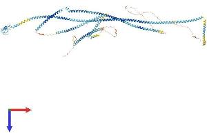 RNF40 Protein (AA 1-1001) (His tag)