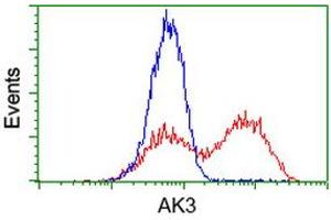 Flow Cytometry (FACS) image for anti-Adenylate Kinase 3 (AK3) antibody (ABIN1496518) (Adenylate Kinase 3 Antikörper)