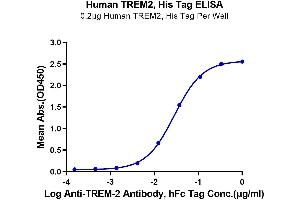 ELISA image for Triggering Receptor Expressed On Myeloid Cells 2 (TREM2) (AA 19-174) protein (His tag) (ABIN7275788)