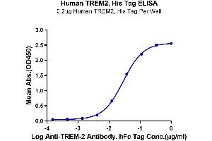 Immobilized Human TREM2, His Tag at 2 μg/mL (100 μL/well) on the plate. (TREM2 Protein (AA 19-174) (His tag))