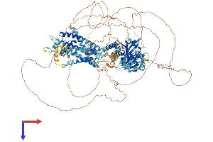 KCNH7 Protein (AA 1-1195) (His tag)